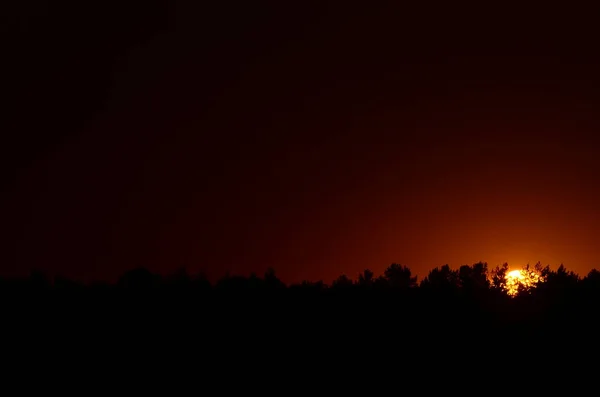 Malerischer Blick Auf Den Endlosen Dunklen Himmel Bei Sonnenaufgang — Stockfoto