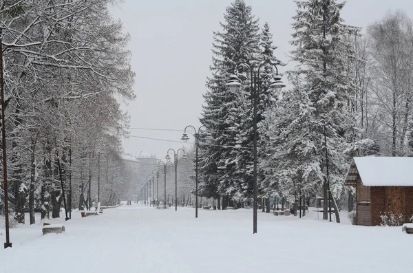 Winter landscape with snow covered trees — Stock Photo, Image