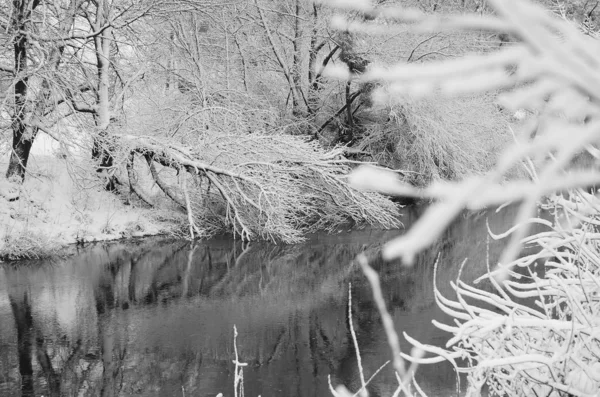 Paisagem nevada do rio — Fotografia de Stock