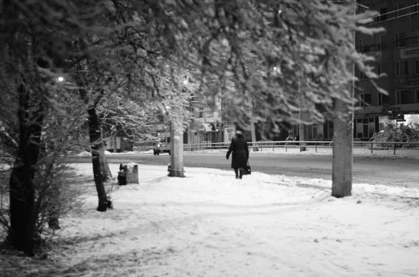 Night winter landscape in the alley of city park — Stock Photo, Image