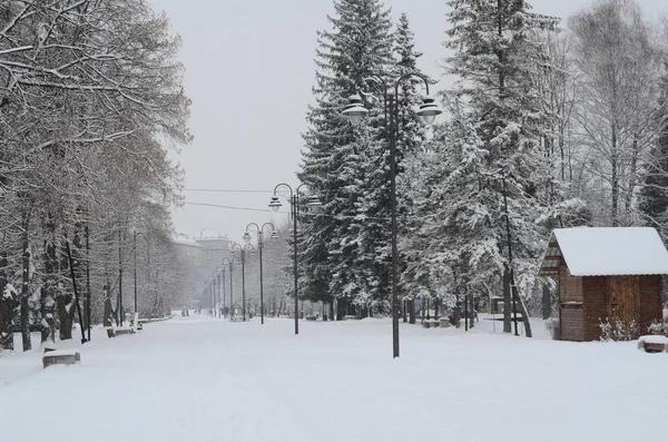 Winter landscape with snow covered trees — Stock Photo, Image