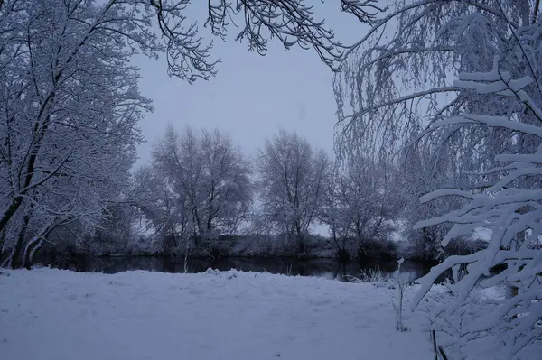 Forêt dans le gel. Paysage hivernal. Arbres couverts de neige. — Photo