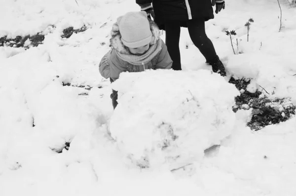 Молода Сім Робить Сніговика Зимовому Парку — стокове фото