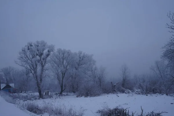 Alles ist mit Schnee bedeckt. Tolle Weihnachtsbäume und festliche Stimmung — Stockfoto