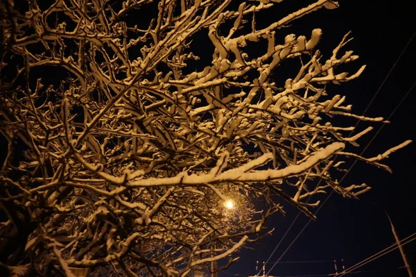 Snöig Vinterstad Natten — Stockfoto