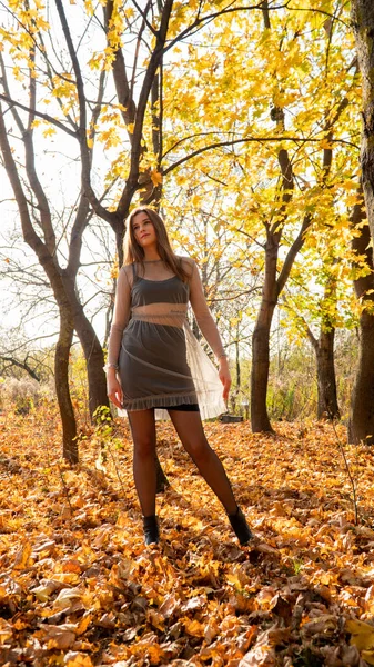 Young Beautiful Woman Walking Park Autumn — Stockfoto