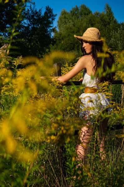 緑の草原にポーズをとる夏の服の美しい女性 — ストック写真