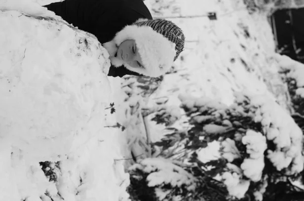 Een Jong Gezin Dat Een Sneeuwpop Maakt Het Winterpark — Stockfoto