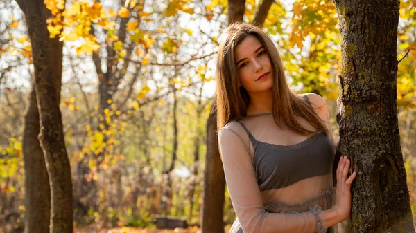 Mladá Krásná Žena Procházky Parku Podzim — Stock fotografie
