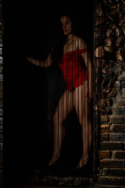 Belle femme brune posant en lingerie rouge sur fond rouge. Femme brune posant en body rouge en studio. Fit fille sportive. Concept de beauté, de mode et de style. Saint Valentin . — Photo