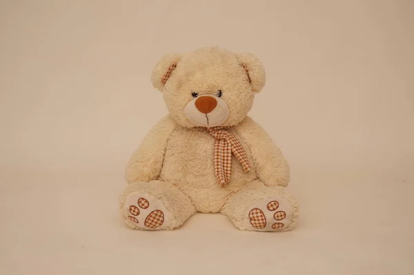 Bear soft toy — Stock Photo, Image