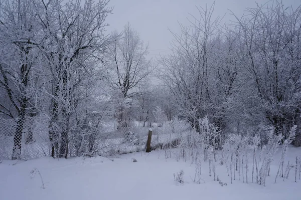 Niedliche Schneelandschaft. Winterwald und Himmel. schöner natürlicher Hintergrund mit schneebedeckten Bäumen — Stockfoto