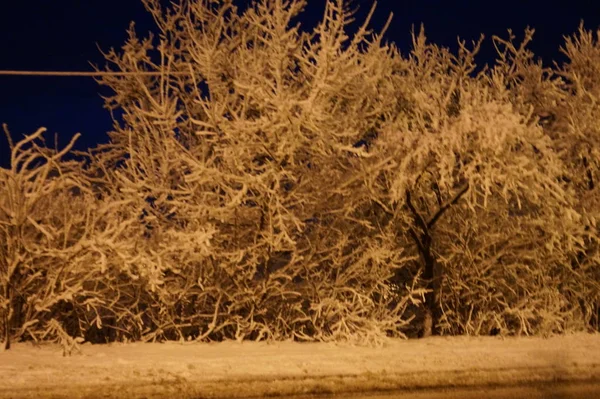 Inverno nevado cidade à noite . — Fotografia de Stock