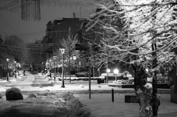 在城市公园的小巷中夜冬季景观 — 图库照片