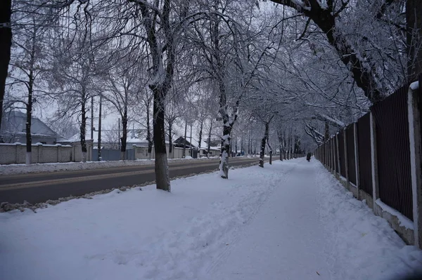 Paisaje invierno — Foto de Stock