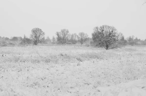 Krajobraz zima śnieg. — Zdjęcie stockowe