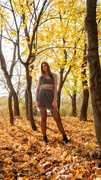 Młoda Piękna Kobieta Spaceruje Parku Jesienią — Zdjęcie stockowe