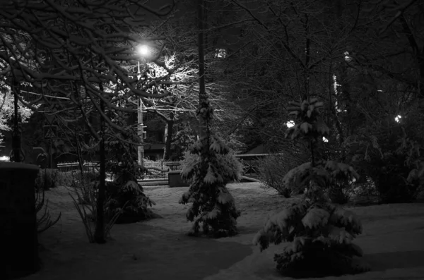 Paisaje nocturno de invierno en el callejón del parque urbano —  Fotos de Stock