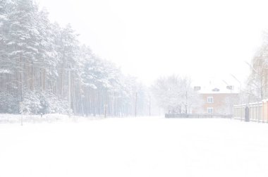 karlı kış manzara