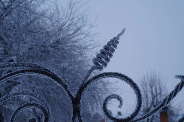Metallzaun im Schnee — Stockfoto