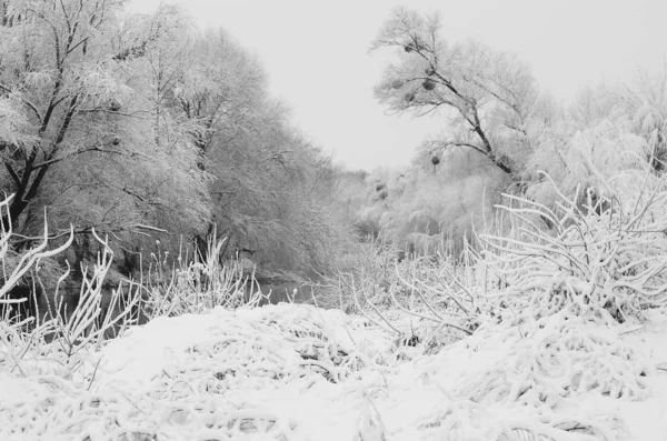 Snö landskap vinter. — Stockfoto