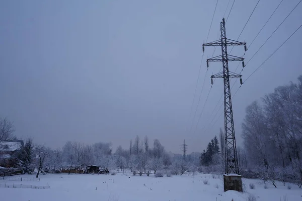 Туманный зимний пейзаж с перьями — стоковое фото