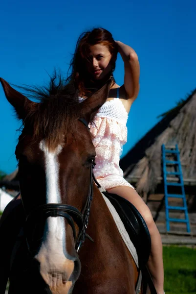 迷人的年轻女子骑着马 端坐在乡村的相机前 — 图库照片