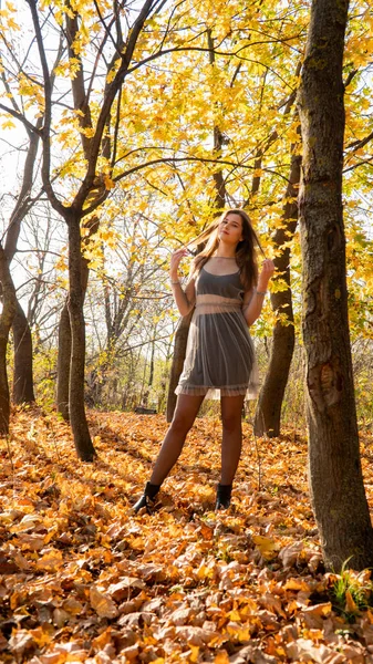 Mladá Krásná Žena Procházky Parku Podzim — Stock fotografie