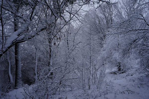 Winterliche, schneebedeckte Flusslandschaft — Stockfoto