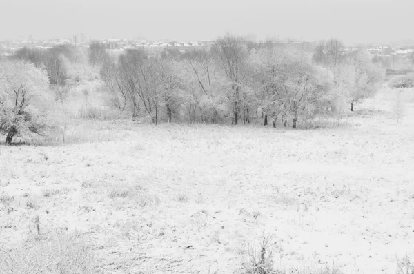 Снежная зима . — стоковое фото
