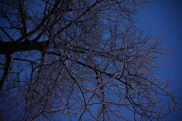 Śnieżne zimowe miasto w nocy. — Zdjęcie stockowe