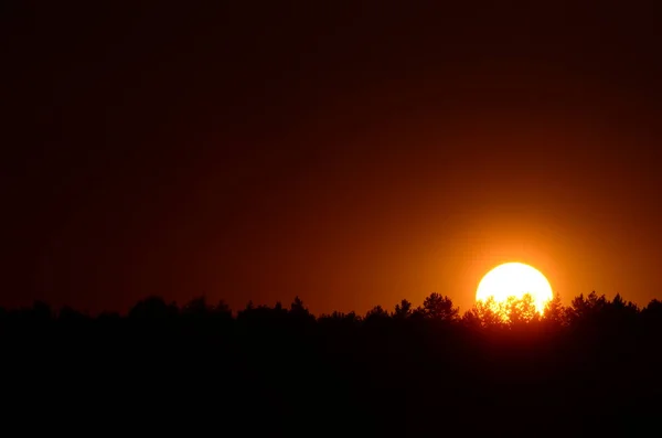 Malebný Pohled Nekonečnou Tmavou Oblohu Při Východu Slunce — Stock fotografie