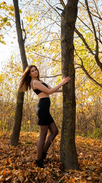 Jovem Bela Mulher Andando Parque Outono — Fotografia de Stock