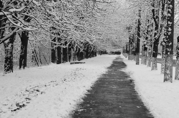 Nieve paisaje invierno . —  Fotos de Stock