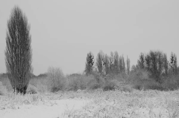 Schnee-Landschaft-winter. — Stockfoto