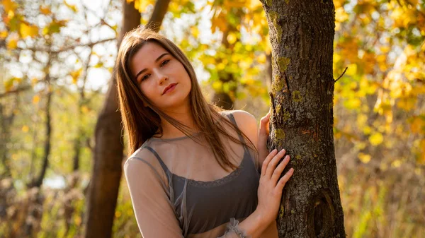 Junge Schöne Frau Spaziert Herbst Durch Den Park — Stockfoto