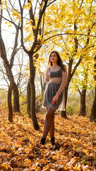 Joven Hermosa Mujer Caminando Parque Otoño —  Fotos de Stock