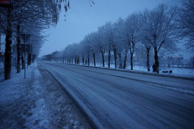 Kış manzarası. Ağaçlar kar kaplı.