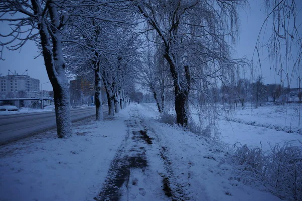 Снежный Зимний Город Утром — стоковое фото