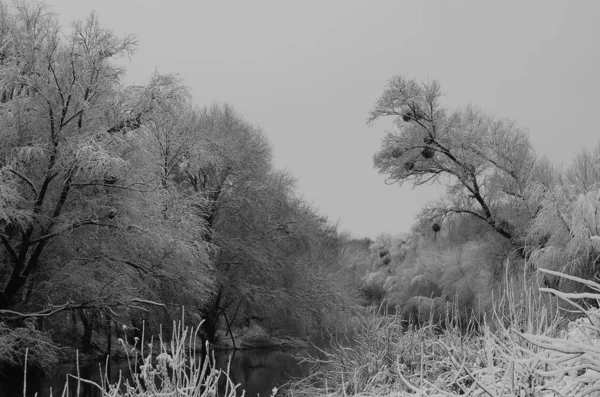 Besneeuwd landschap van de rivier — Stockfoto