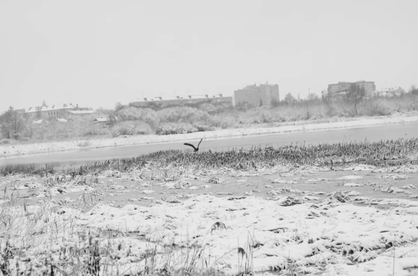 冬の雪の風景. — ストック写真