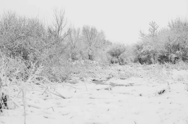Krajobraz zima śnieg. — Zdjęcie stockowe