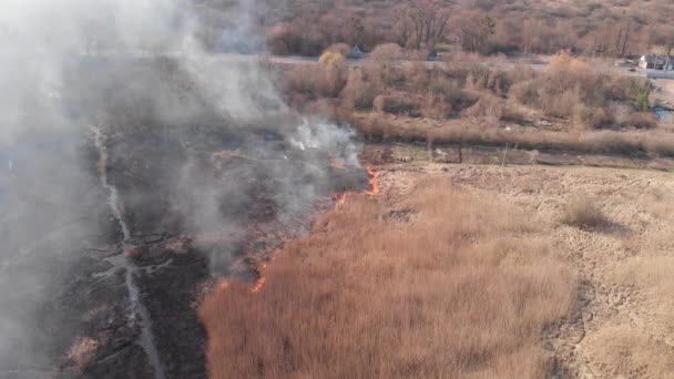 Letecký Pohled Kouř Nad Hořícím Polem Zemědělské Půdě — Stock video