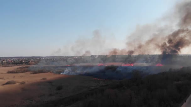 Widok Lotu Płonącego Dymu Pola Uprawne — Wideo stockowe