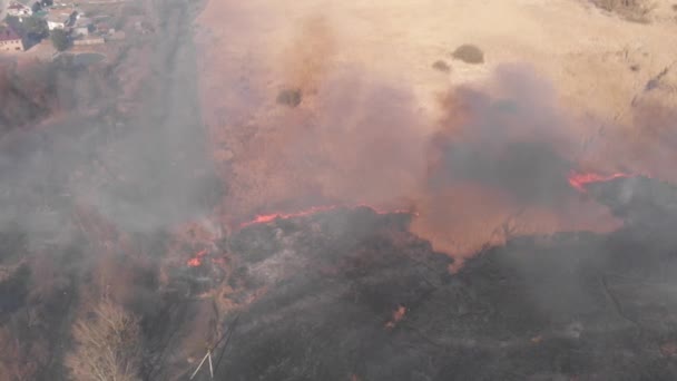 Letecký Pohled Kouř Nad Hořícím Polem Zemědělské Půdě — Stock video