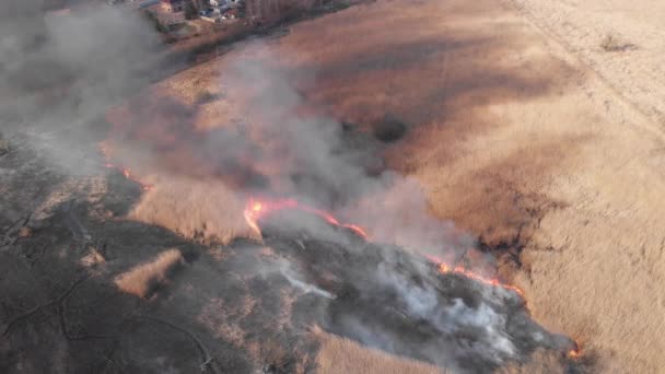 vue aérienne de la fumée sur les champs en feu dans les terres agricoles 