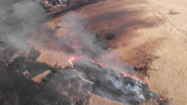 Luftaufnahme Von Rauch Über Brennendem Feld Ackerland — Stockvideo