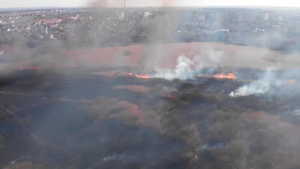 Letecký Pohled Kouř Nad Hořícím Polem Zemědělské Půdě — Stock video