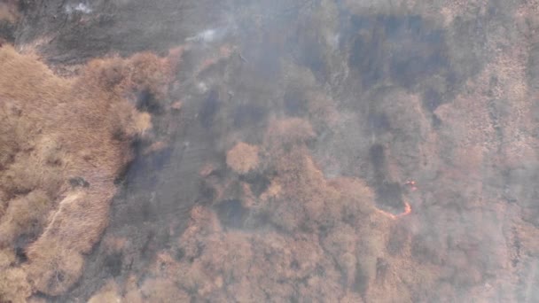 Luchtfoto Van Rook Boven Brandend Veld Landbouwgrond — Stockvideo