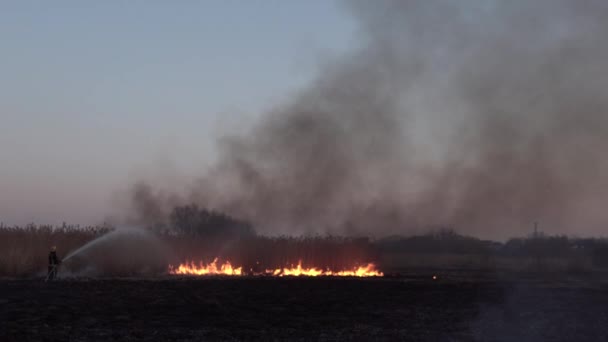 Zona Costeira Marsh Creek Forte Fumaça Fogo Liana Overgrowth Fogos — Vídeo de Stock